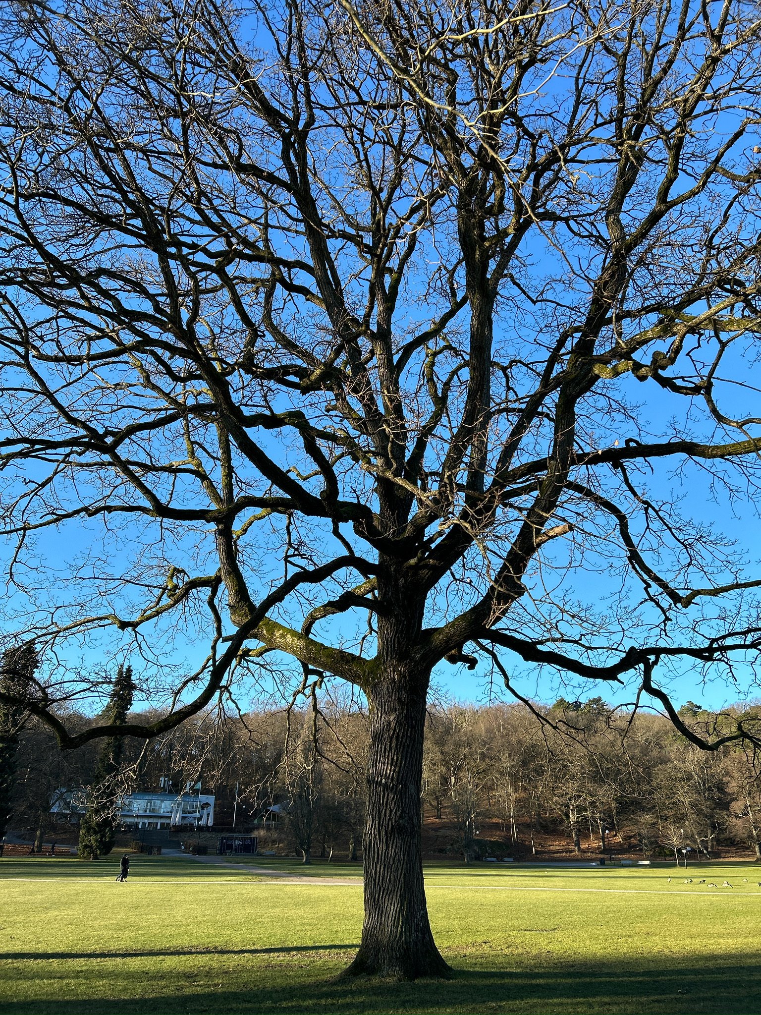 poets pretend, climates change, humans don't behave