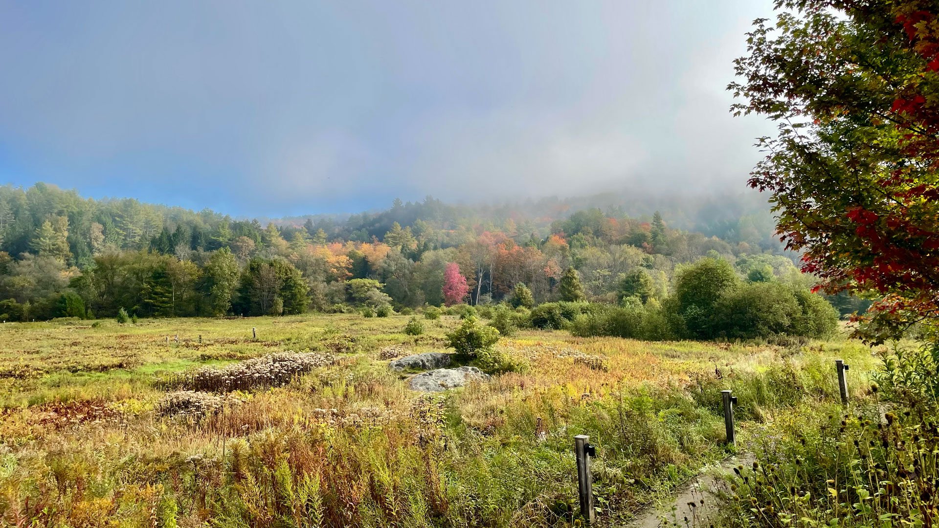 No. 35: To fear no future