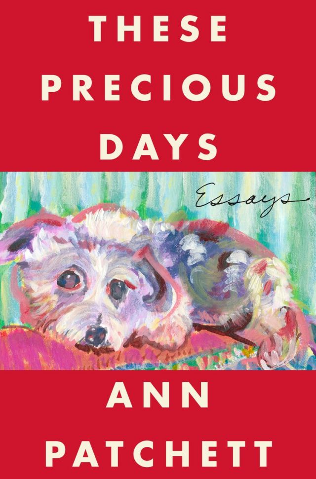 book cover of These Precious Days by Ann Pachett a red background with a painted colorful expressive painting of a small white dog in the middle.