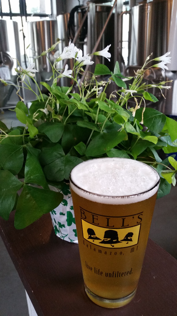 St. Patrick's Day Weekend, SBWF and more!