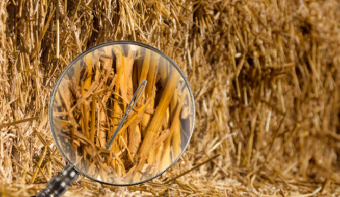 Finding a Needle in a Haystack: How Facebook Serves Millions of Images per Second