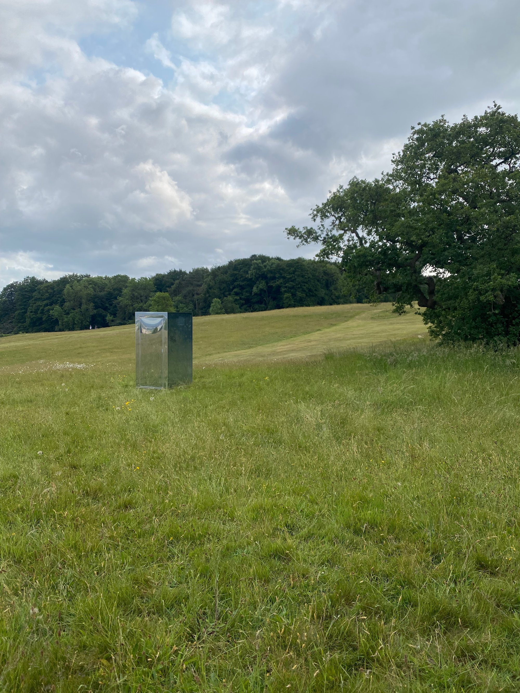 A photo of the mirrorbox in a field at Ashton Court Estate in Bristol, next to a large Oak tree. Part of the brilliant 'I would be Here if I could' project (more details in resources at end of email)