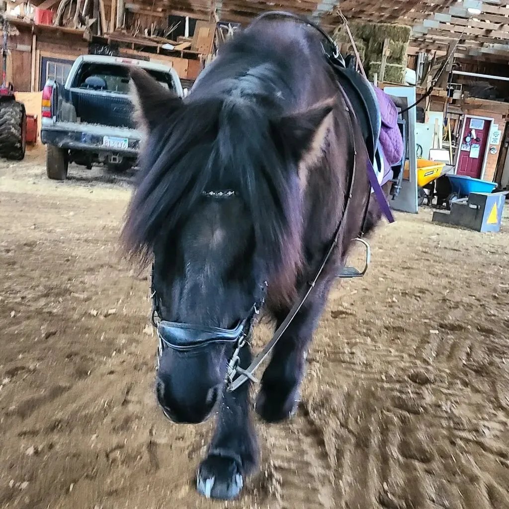 Avoidance is a trauma response