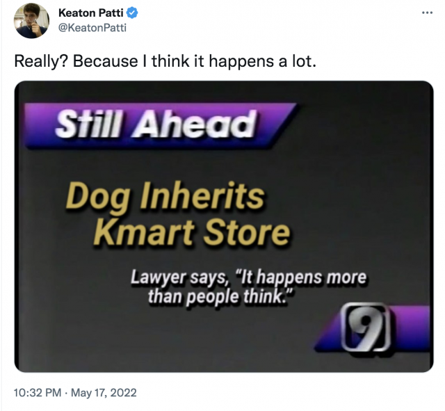 A photoshopped news screen that says "Still Ahead: Dog Inherits Kmart Store. Lawyer says: It happens more than people think." The text of the tweet says "Really? Because I think it happens a lot."