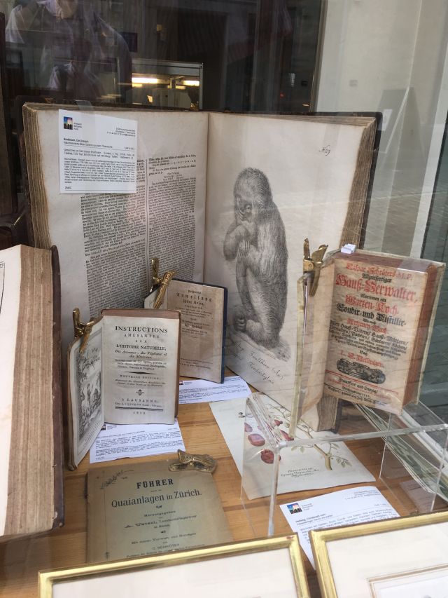 Bookseller window in Zürich.
