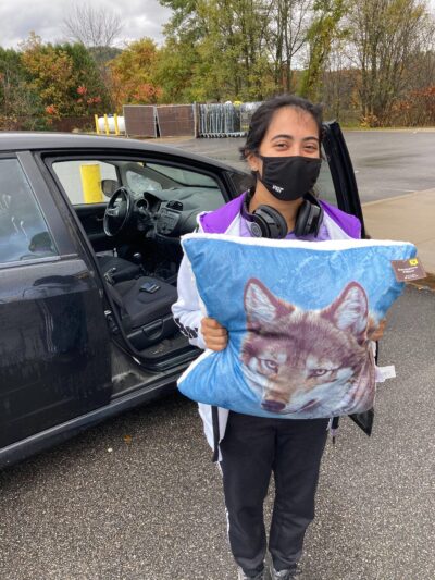 nisha and emotional support wolf pillow