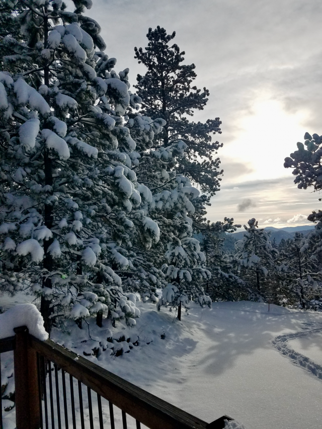 The Gym No. 18: Balance forward