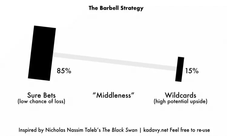 The Barbell Philosophy: Navigating Change and Stability in Investment