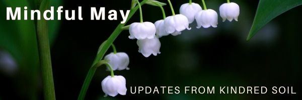 Mindful May - Free Event, Podcast & More