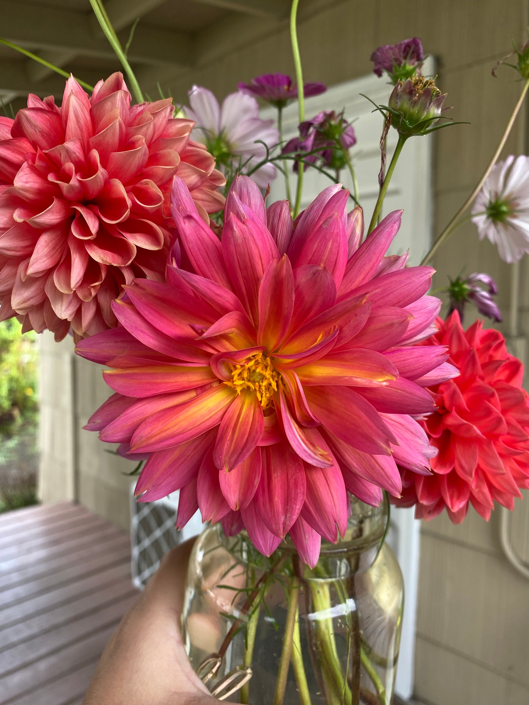 perzine newsletter | october 2025