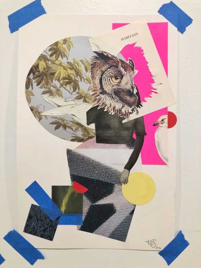 a collage of an owl-head atop a human body with one arm and one wing with a geometric skirt swooping from the waist to the left of creature