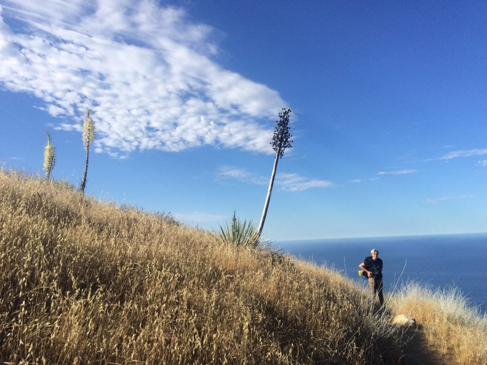 on a hill