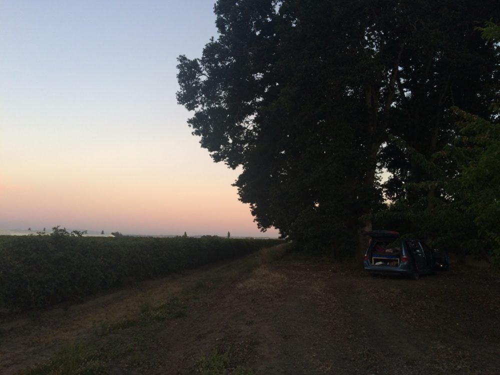 van parked in hazelnut orchard