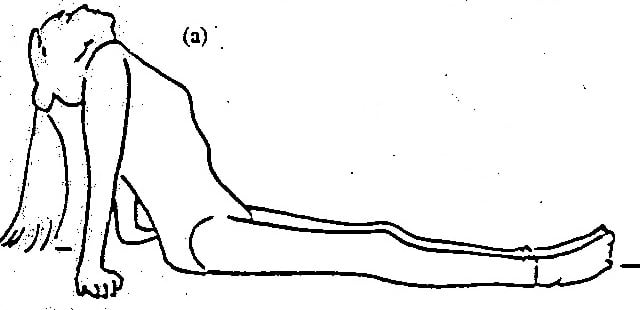healing cataracts 1.jpg