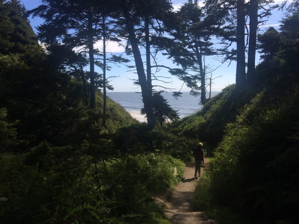 olympic peninsula
