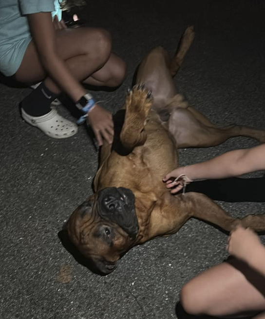 I am not a test pilot