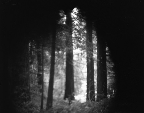 image from site-specific pinhole camera [click to view more; read story]