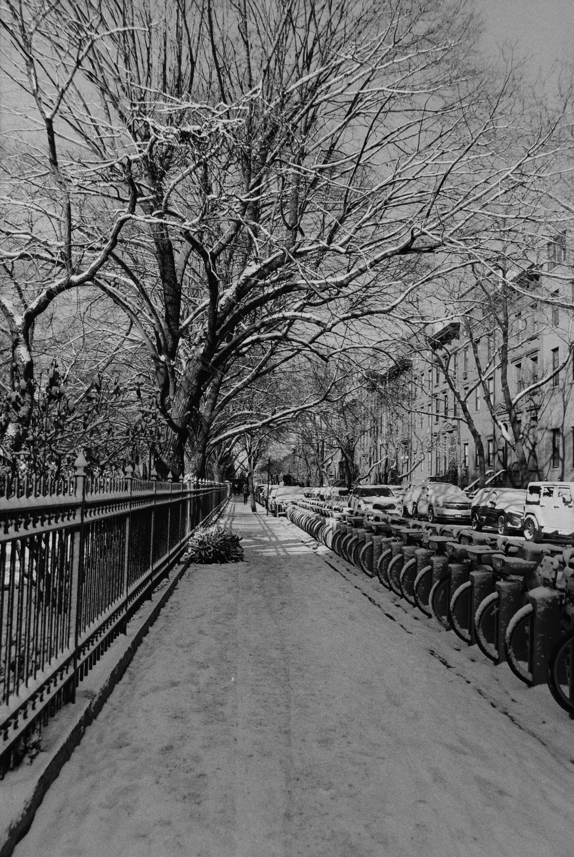 A Forgotten Roll from February