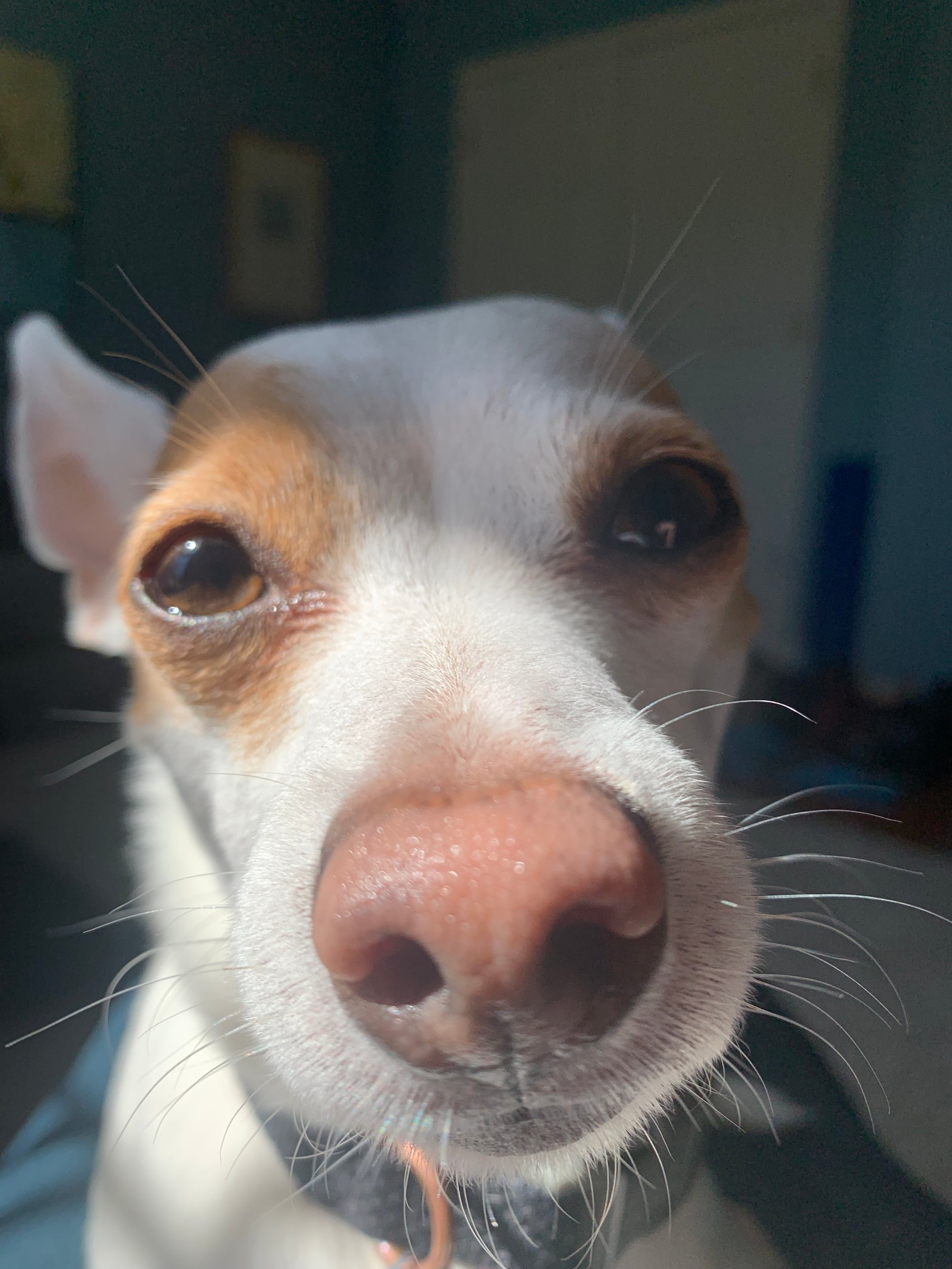 Random notes from April 