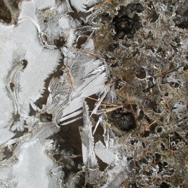 Frozen Puddle