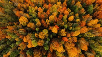 How Trying New Programming Languages Helped Me Grow as a Software Engineer