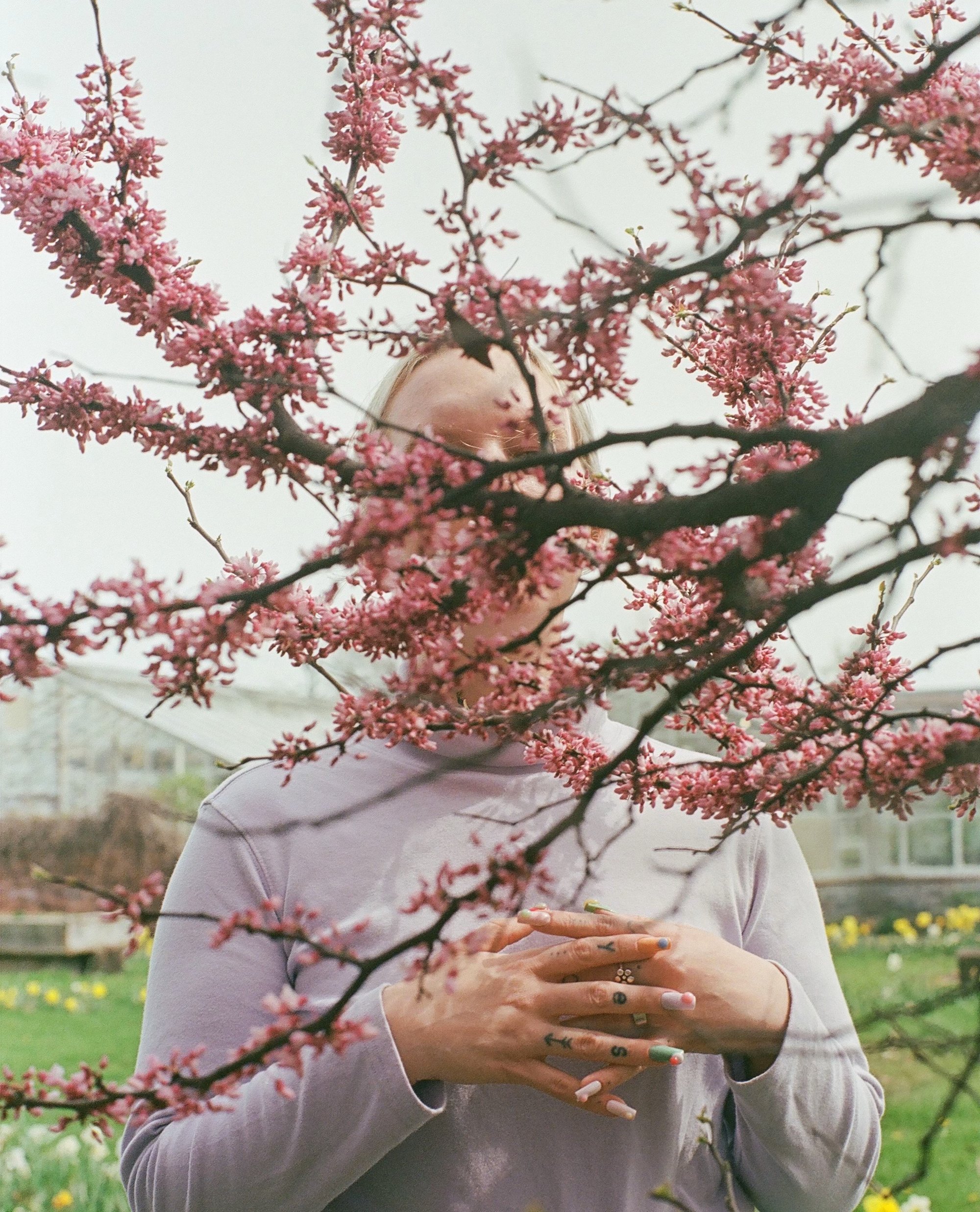 The role of the artist 