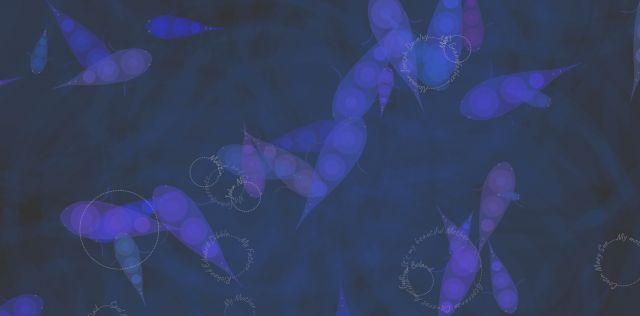 Data Meditations: An Abstract Koi Pond