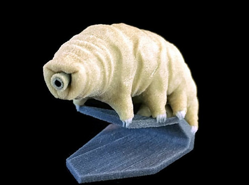 3d-printed tardigrade (water bear) [click for more]