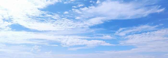 OZ #36 💌 Buscar tutoriales sobre el duelo