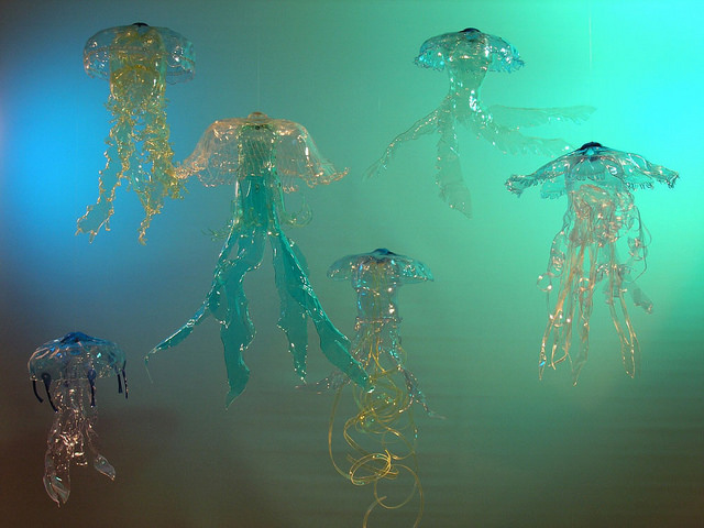 Jellyfish I (Veronika Richterová)