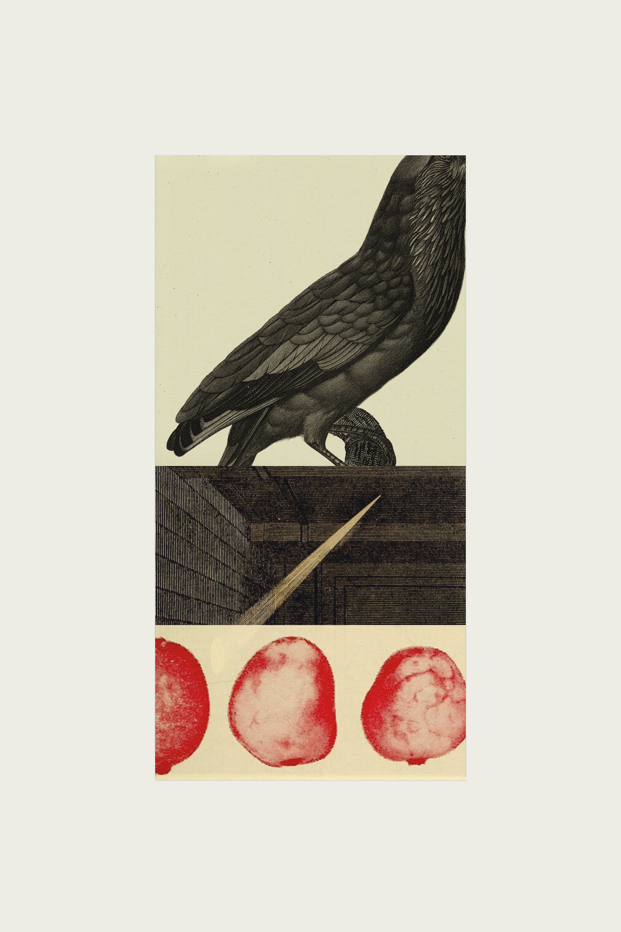 Chickens, eggs, cannonballs