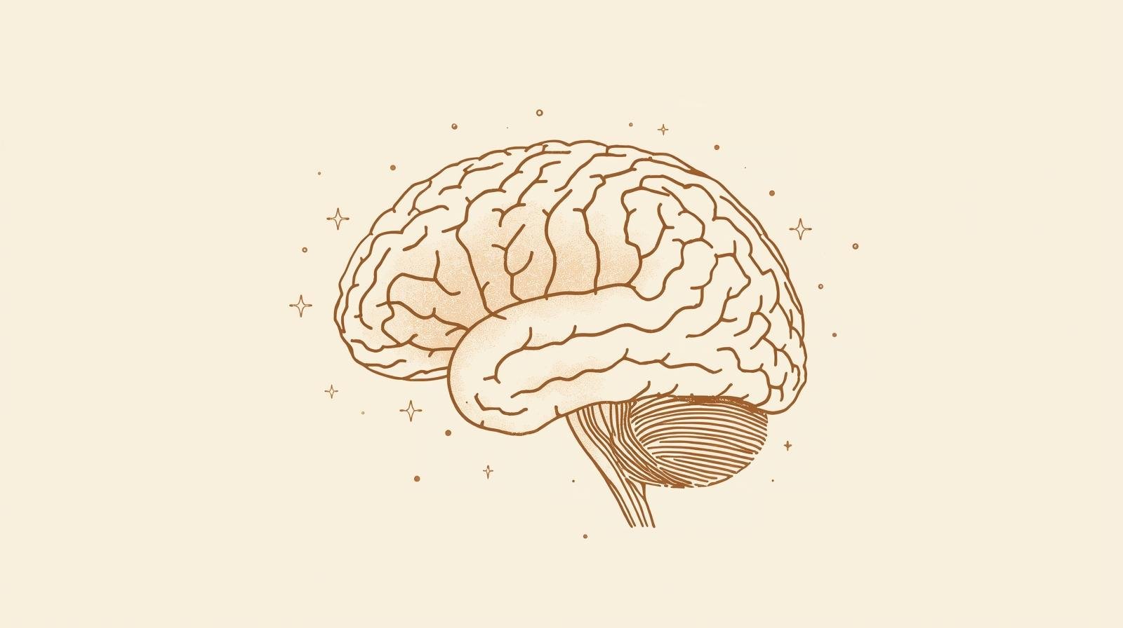 #ScandalsoftheBody: The Brain’s Gossip