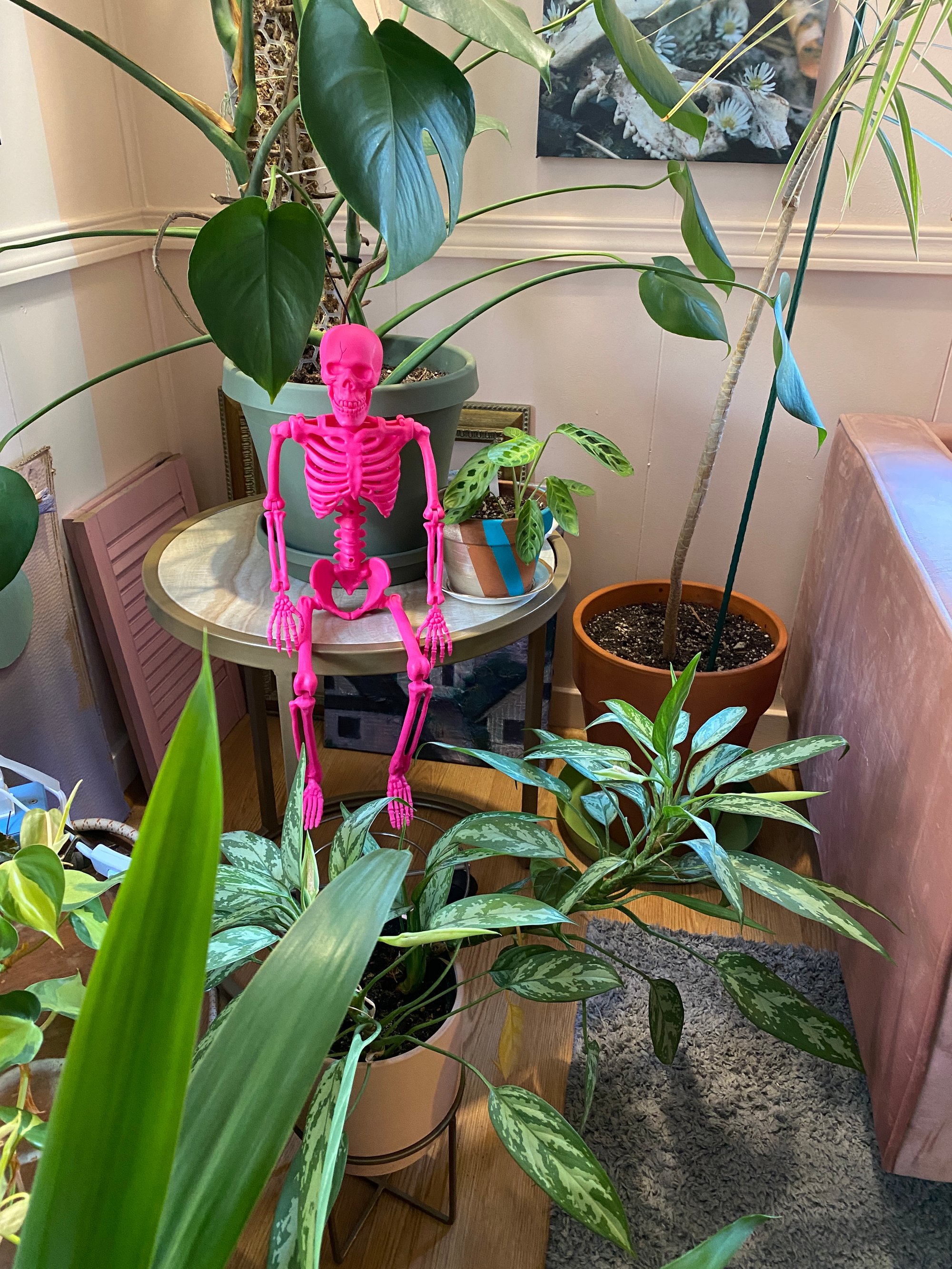 perzine newsletter | october 2024