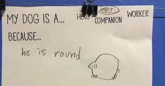 A worksheet where the prompt is "My dog is a... [and then it says to circle 'hero' 'companion' or 'worker'], because..." This person has circled the word 'circle' so the sentence reads "My dog is a circle because he is round." And they drew a round dog. 