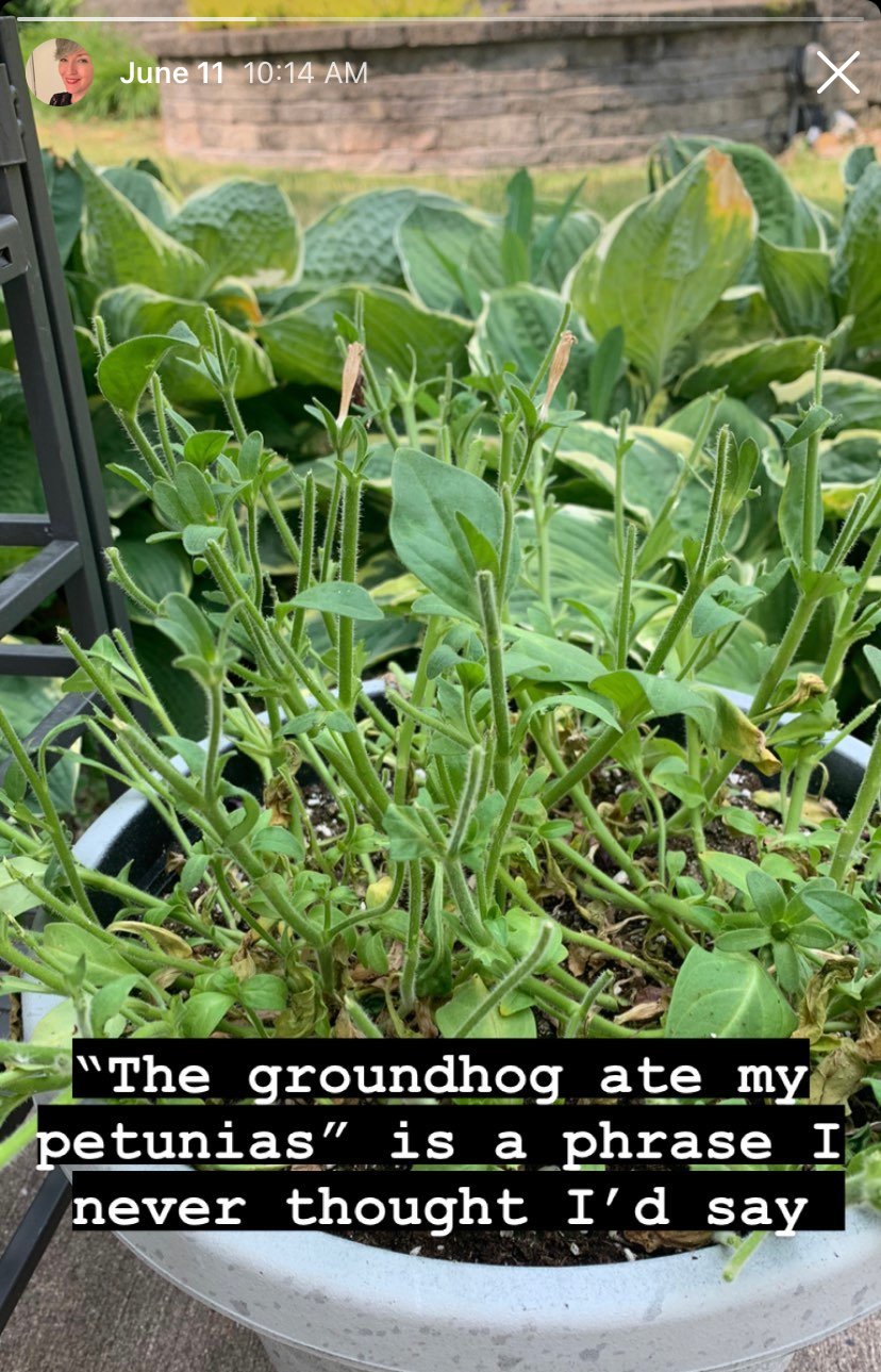 I've got million-dollar charm, cousin 