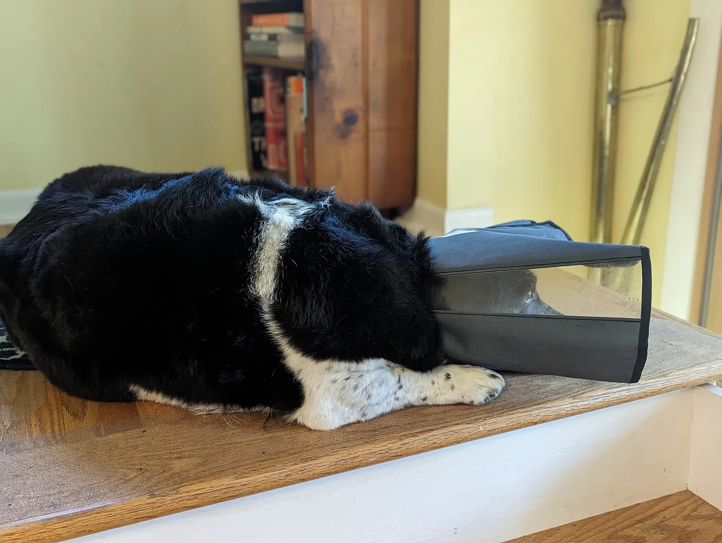 The Tyranny of the Tail