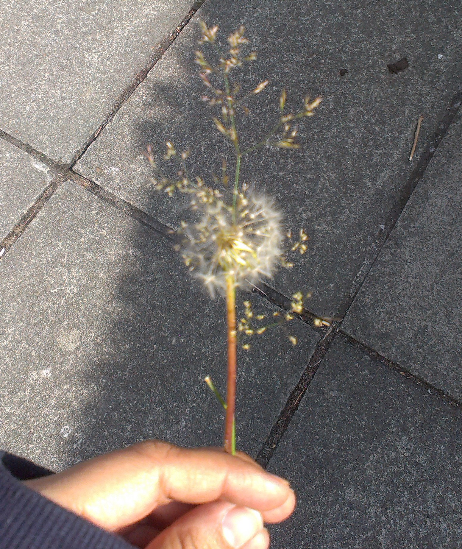 An Austenesque memory, summer & a poem 