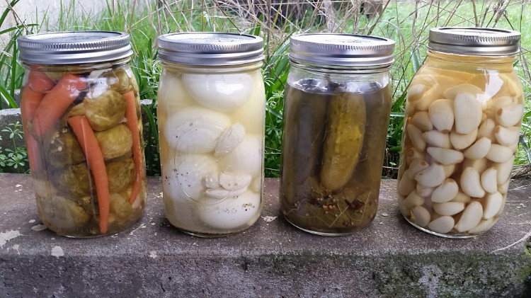 Pickled Potluck Party!