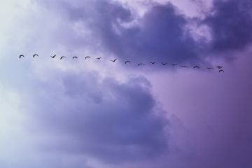 Why I moved from React to Svelte and others will follow