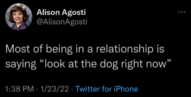 A tweet that says "Most of being in a relationship is saying 'look at the dog right now.'"