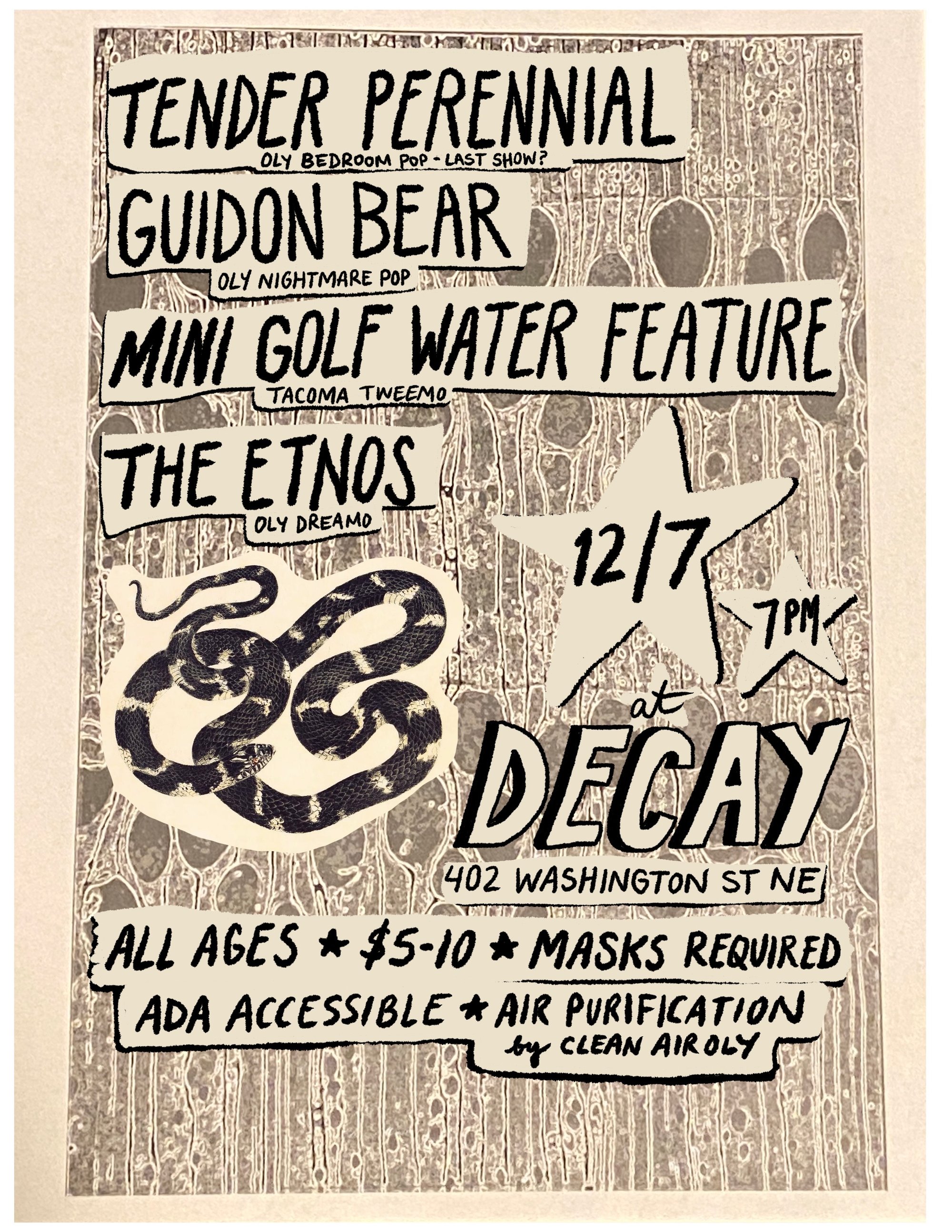 perzine newsletter | november 2024