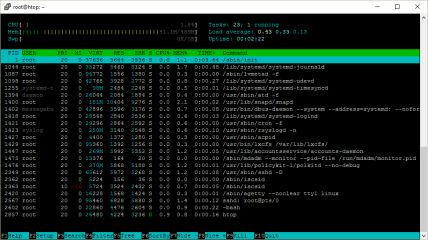 htop explained