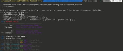 Setting up an Angular 2 Development Environment
