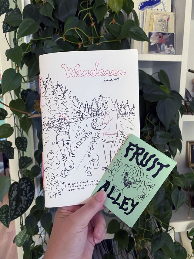 photo of wanderer issue 9 zine and fruit alley mini zine