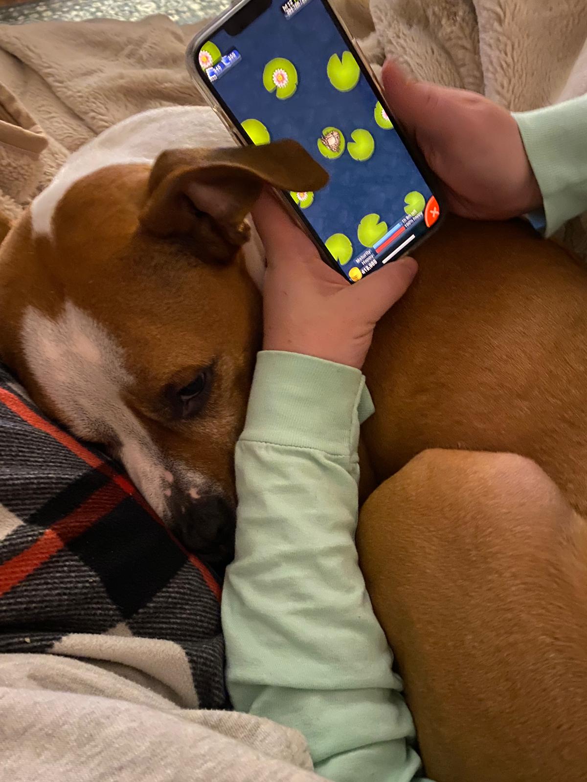 A photo of Emory holding his phone over Marmalade, who is curled up in his lap; Emory is playing Pocket Frogs