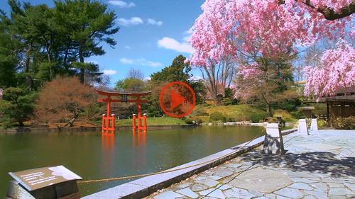A Japanese Garden Walkthrough [click to view]