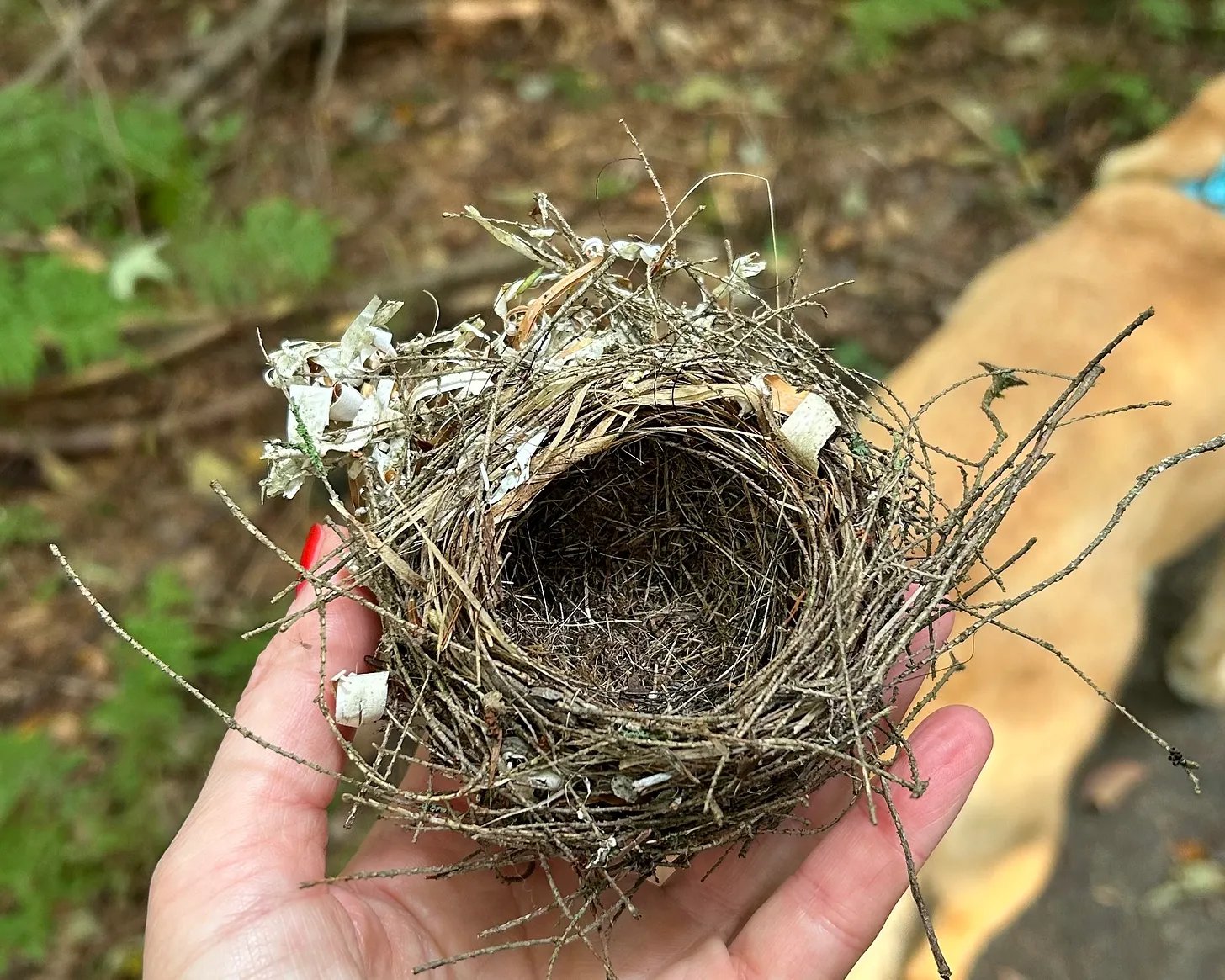 What is revolutionary action? 