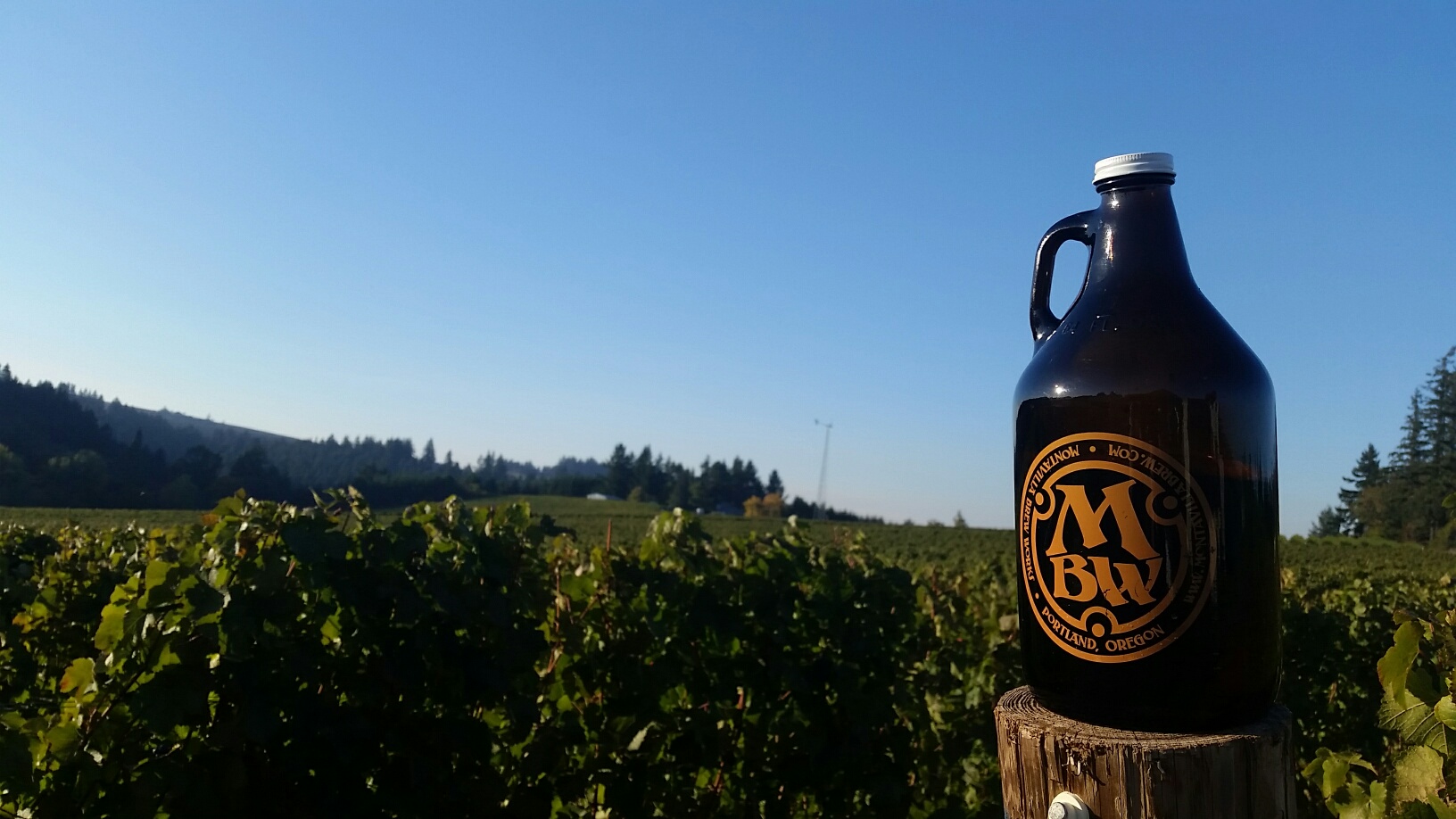Growler Fill Discount Today!