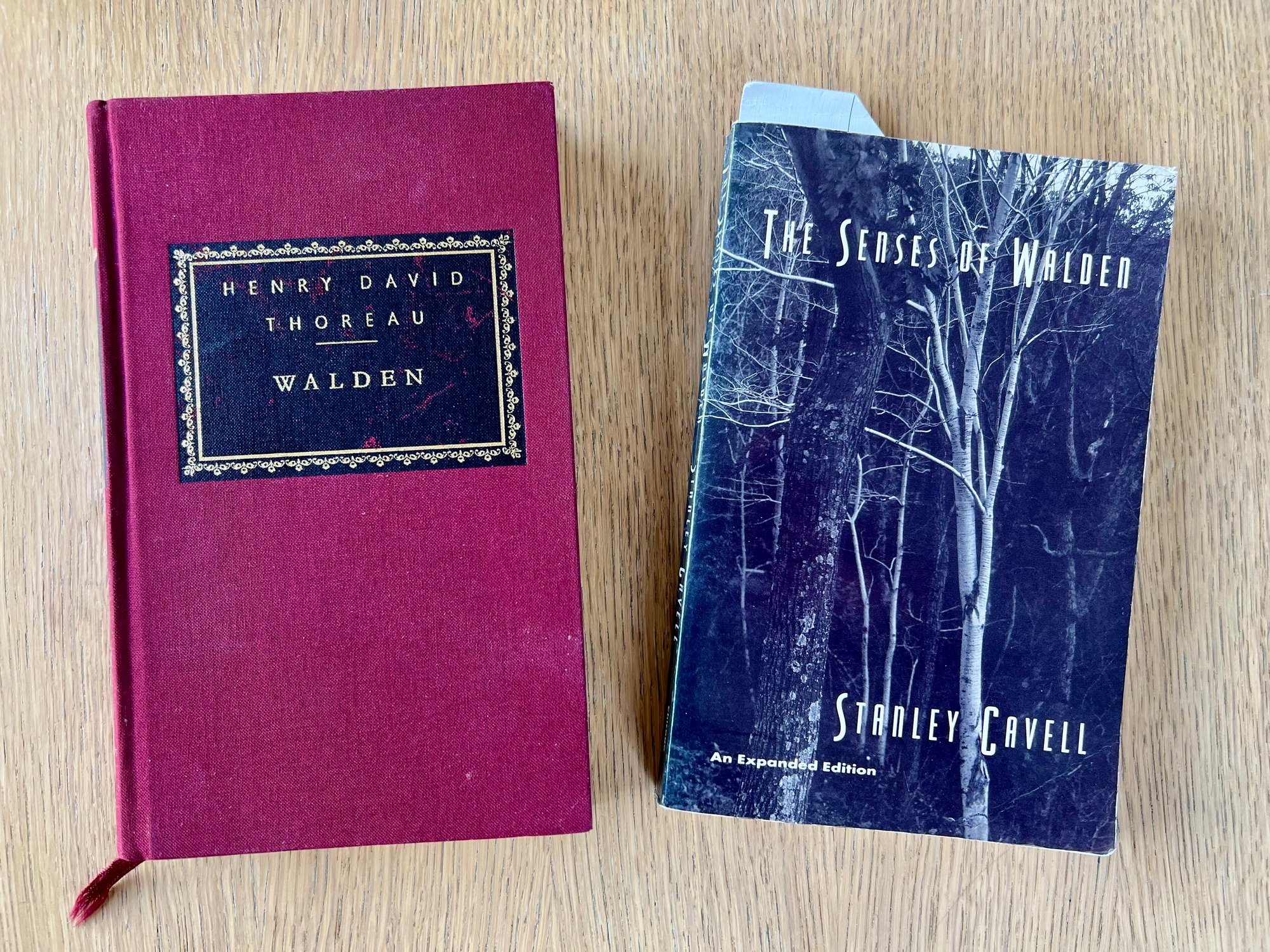 BOOKS THAT SWERVED MY THINKING IN 2024: Part Three (and Final)