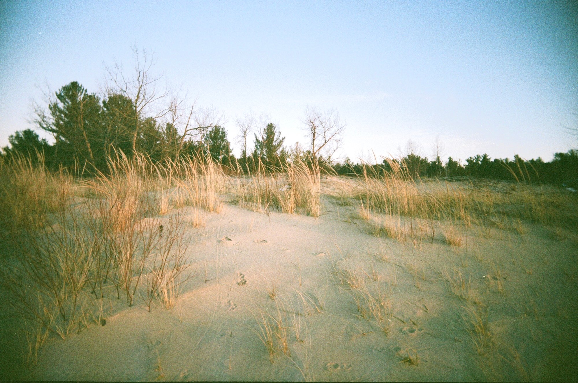 Surrounding ourselves with good witnesses 